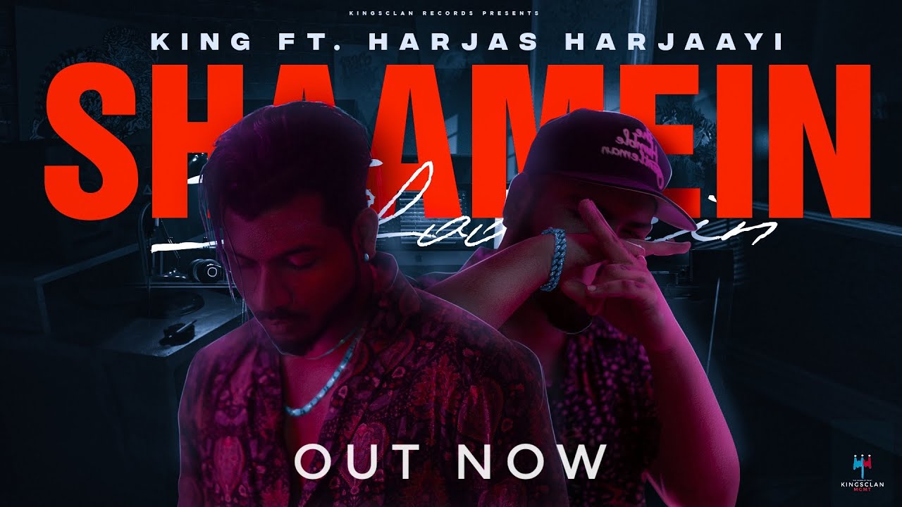 Shaamein - Song Cover Image