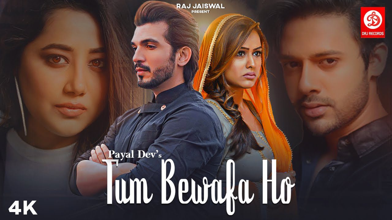 Tum Bewafa Ho - Song Cover Image