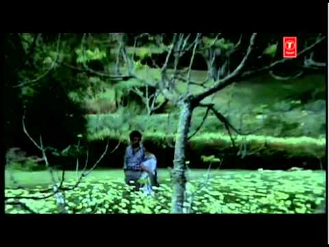 Main Tere Saath Hoon - Song Cover Image