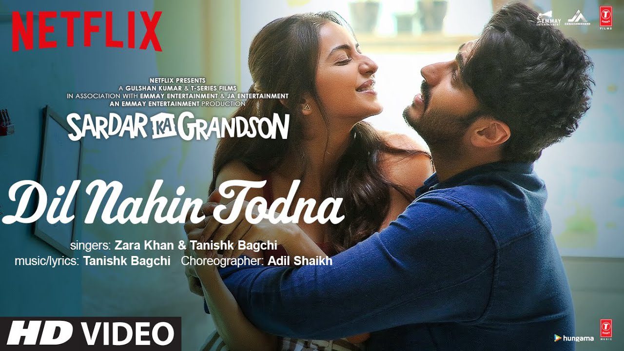 Dil Nahin Todna - Song Cover Image
