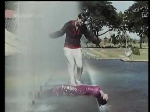 Champakali Dekho Jhuk Hi Gayi Re - Song Cover Image