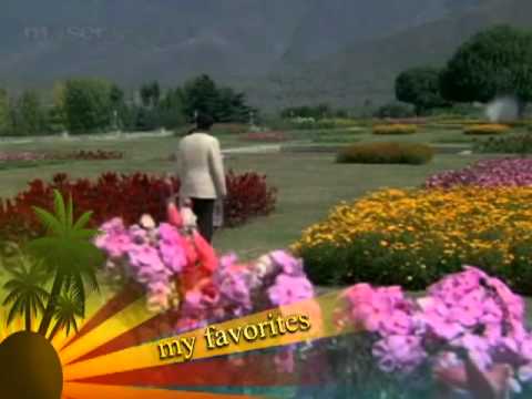 Mujhe Aisa Mila Moti - Song Cover Image