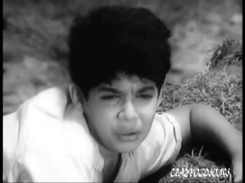Maa Mujhe Apne Anchal Mein - Song Cover Image