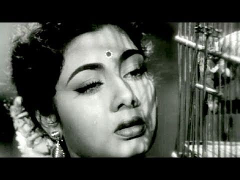 Kadar Jane Na - Song Cover Image