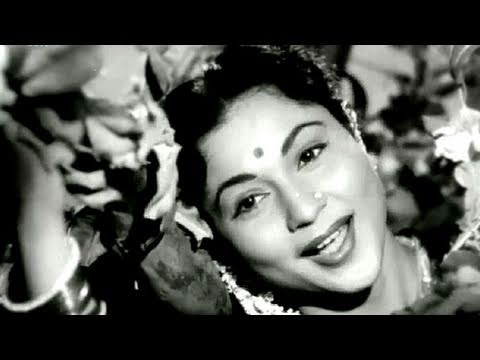 Raja Jani Pyare - Song Cover Image