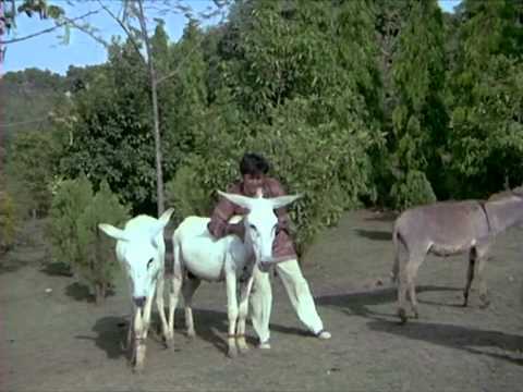 Moti Palley Pai Gaye - Song Cover Image