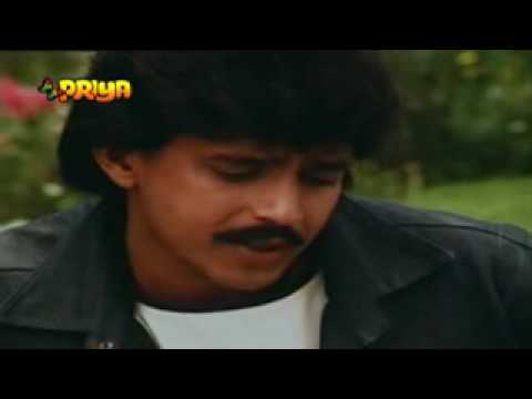 Deewana Mein Hoon Tera - Song Cover Image