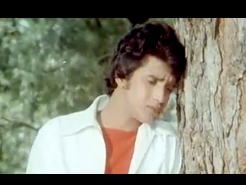 Goonjne Lage Hain - Song Cover Image