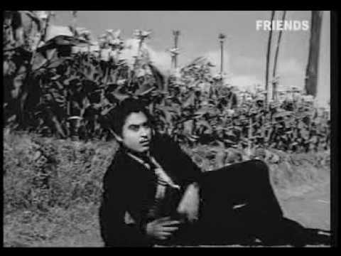 Dil Dil Se Mila Kar Dekho - Song Cover Image