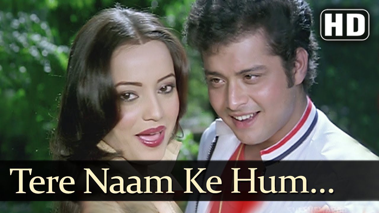 Tere Naam Ke Hum Deewane - Song Cover Image