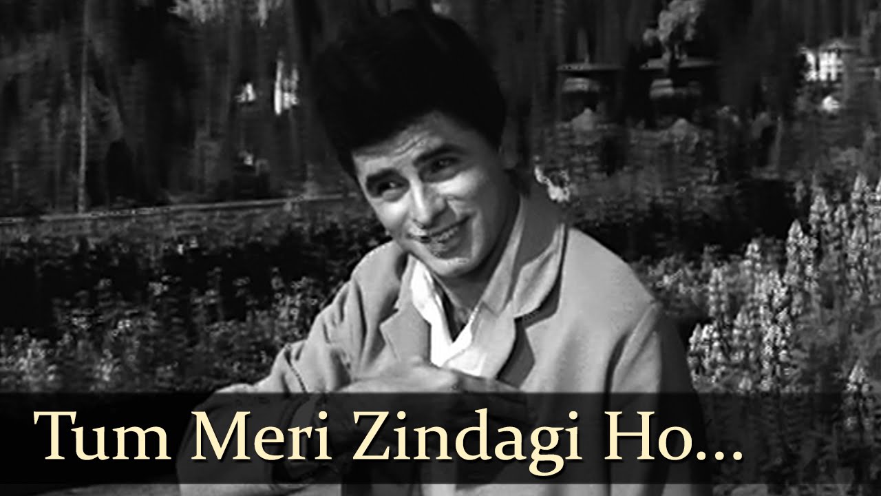 Hum Jee Lenge - Song Cover Image