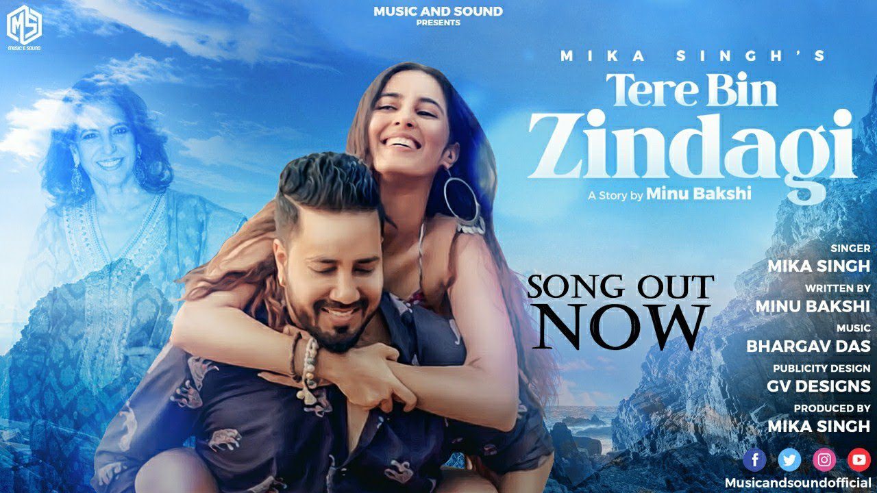 Tere Bin Zindagi - Song Cover Image