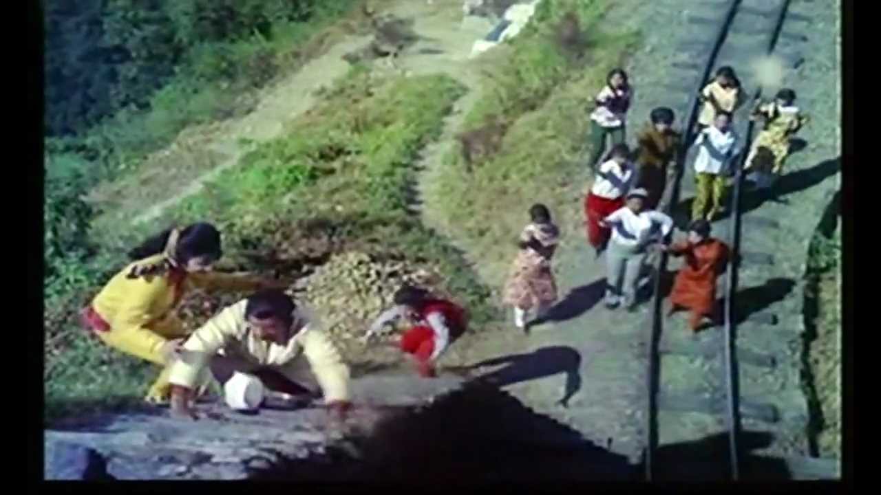 Ek Anari Jangali Janwar - Song Cover Image