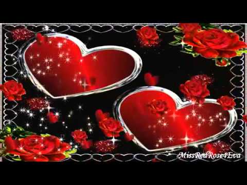 Phool Dekha Phoolon Ka Rang - Song Cover Image
