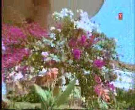 Teri Jawani Tapta Mahina - Song Cover Image