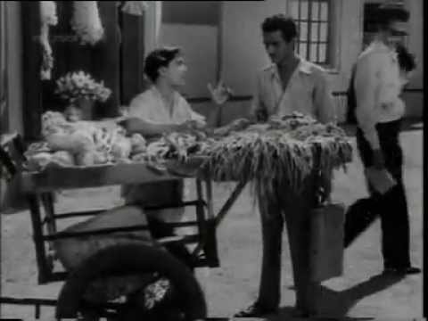 Aaya Re Bhajiwala - Song Cover Image
