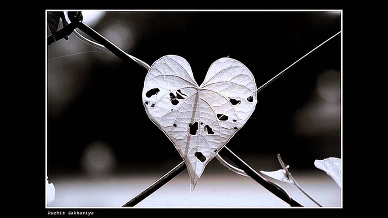 Tere Bin Koi Bhi Pal - Song Cover Image