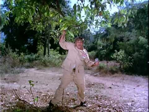 Jawani Tera Bol Bala - Song Cover Image