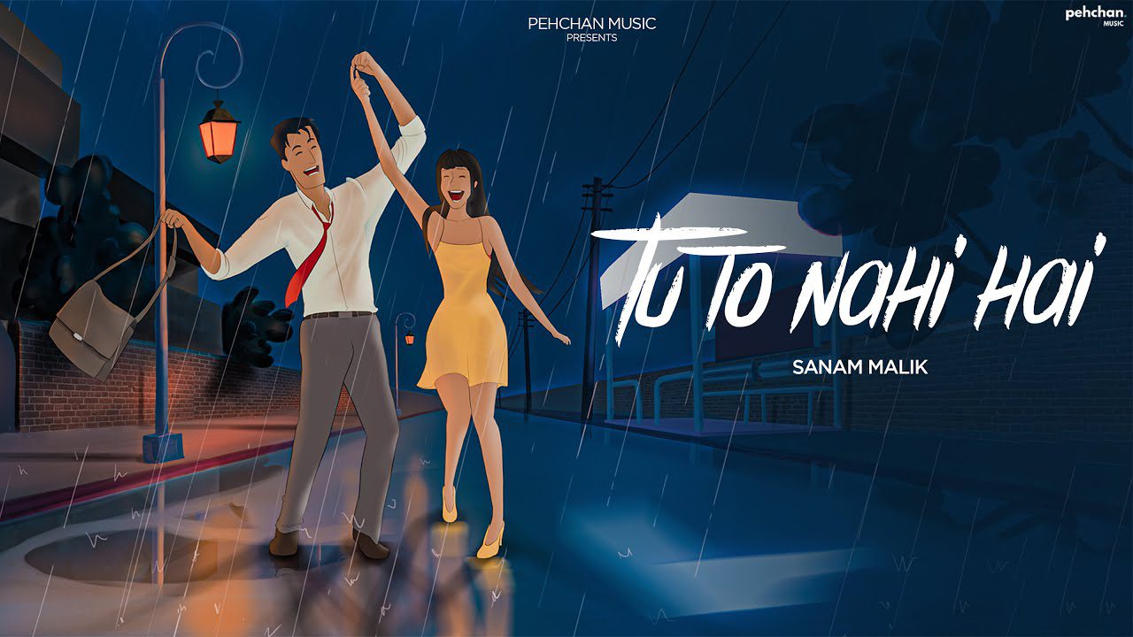 Tu To Nahi Hai - Song Cover Image