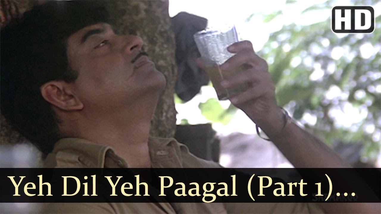 Yeh Dil Yeh Pagal Dil Mera - Song Cover Image