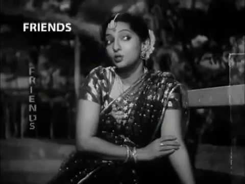 Udte Hue Panchhi - Song Cover Image