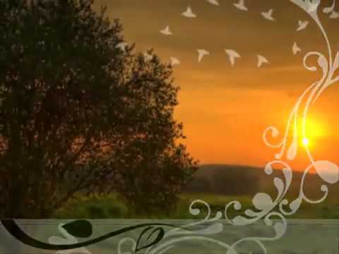 Udas Sham Kisi Khwab Mein - Song Cover Image