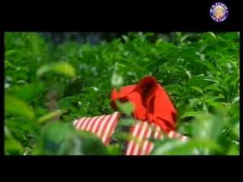 O Basanti - Song Cover Image