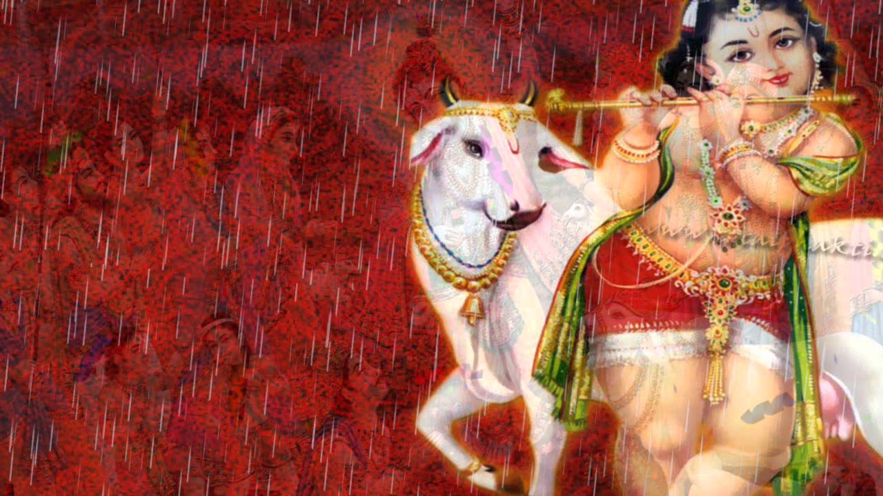 Man Bairagi Tohe Dhunde Shyam - Song Cover Image