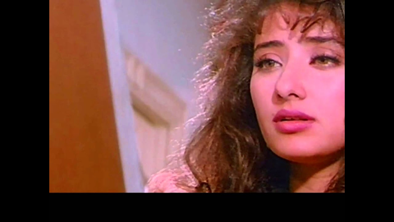 Hum Do Panchhi - Song Cover Image