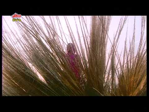 Rab Ne Banaya Tujhe - Song Cover Image