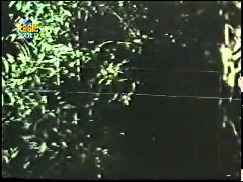 Koi Aayega Laayega - Song Cover Image