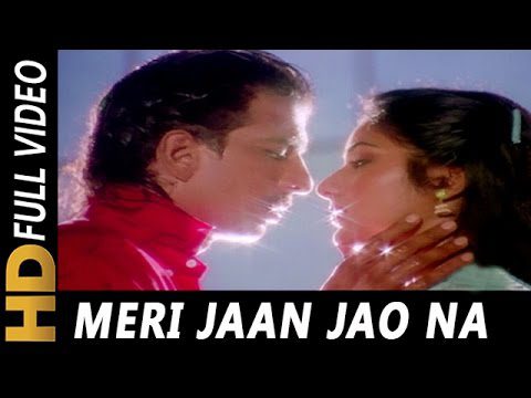 Meri Jaan Jao Na - Song Cover Image