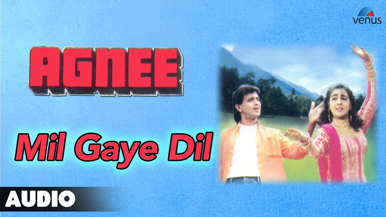 Mil Gaye Dil - Song Cover Image
