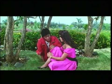 Dil Aashna Hai (Title) - Song Cover Image