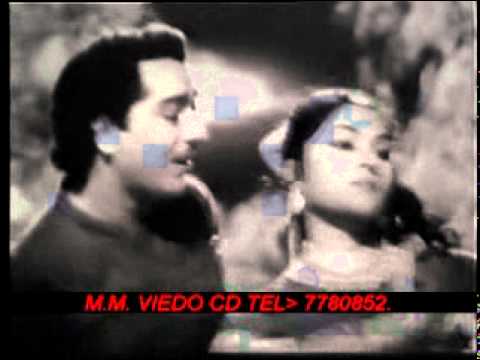 Gori Bulaye Tera - Song Cover Image