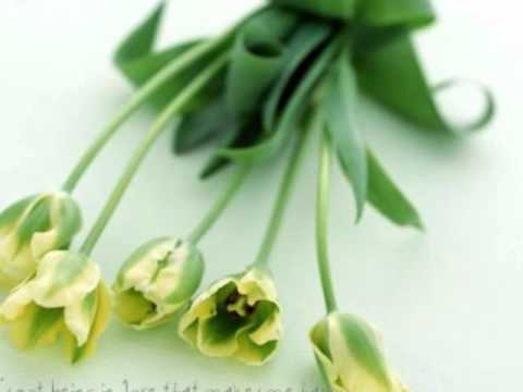 Dhoondh Legi Manzil Humein (Title) - Song Cover Image