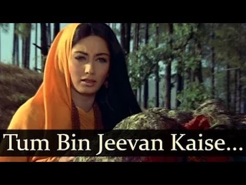 Tum Bin Jeevan Kaise Beeta - Song Cover Image