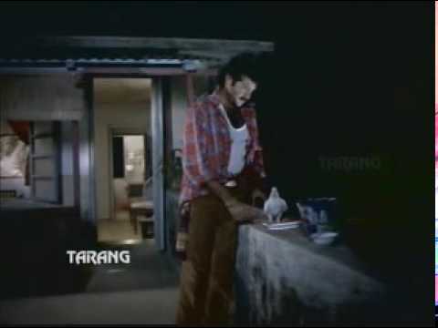 Chamakte Chand Ko - Song Cover Image