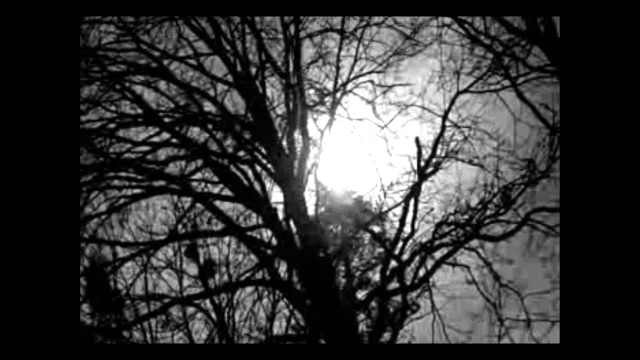 Chaand Maddham Hai Aasmaan - Song Cover Image