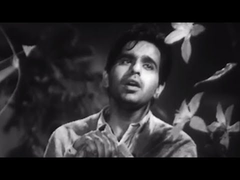 Koi Nahin Mera is Duniya Mein - Song Cover Image