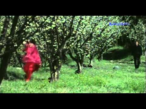 Aa Kahi Duur Chale Jaaye Ham - Song Cover Image