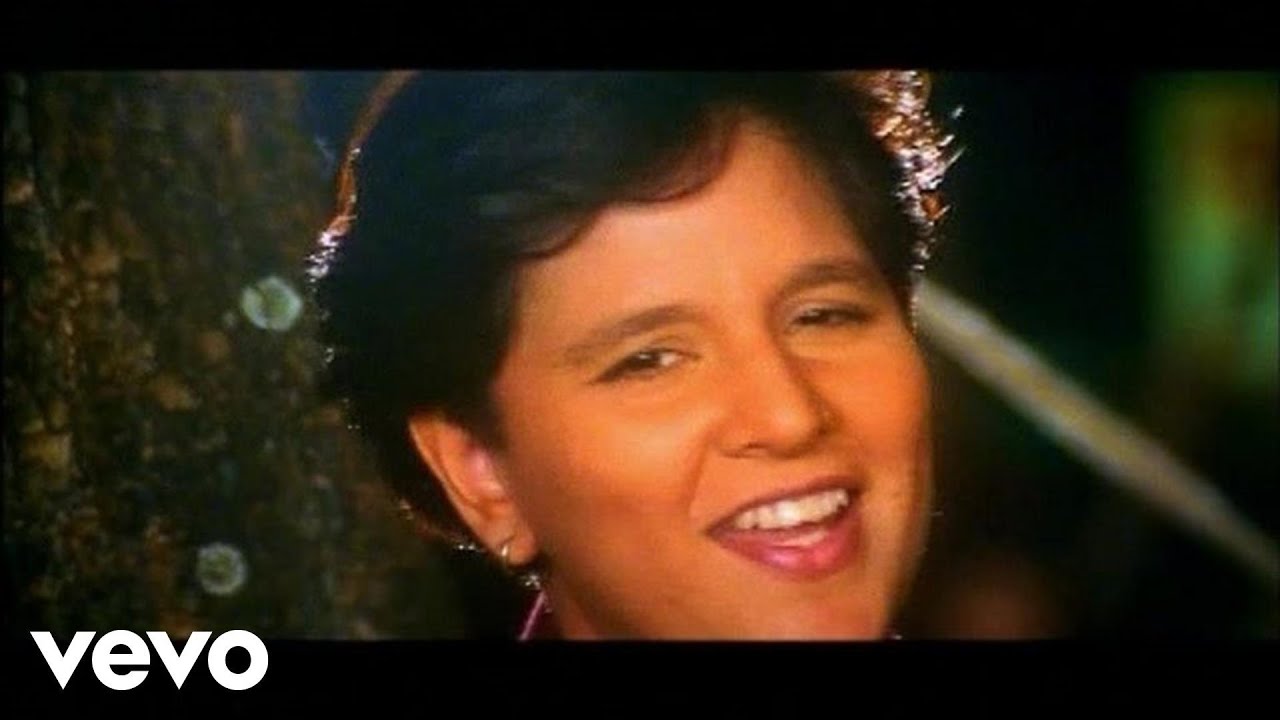 Pal Pal Teri Yaad Sataye - Song Cover Image