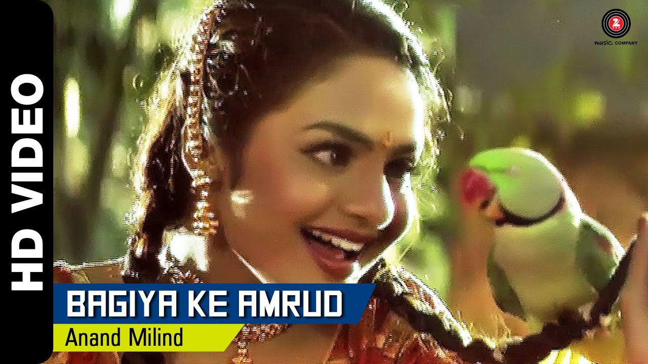 Bagiya Ke Amrud - Song Cover Image