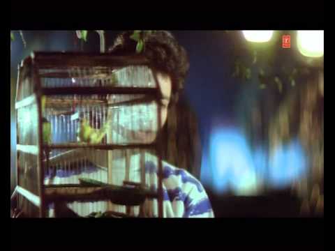 Tumhe Dil Se Chaha Tha - Song Cover Image
