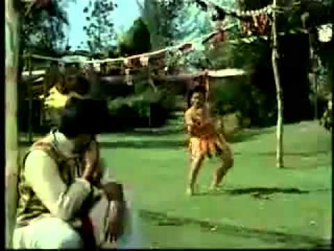 Chadhti Jawani Meri - Song Cover Image
