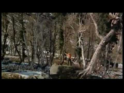 Husn Pahadon Ka O Sahibaan - Song Cover Image