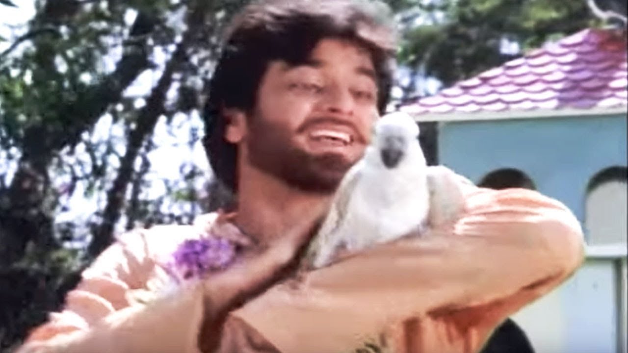 Chidiya Chu Chu Karati Hai - Song Cover Image