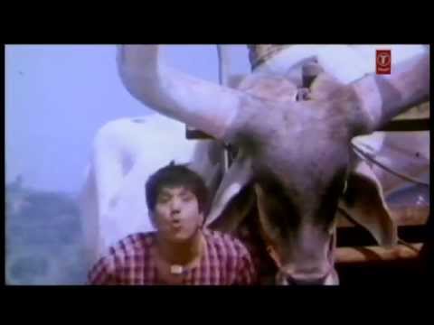 O Mere Pyare Bail - Song Cover Image