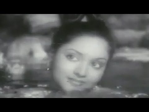 Tere Dwar Khada Ek Jogi - Song Cover Image