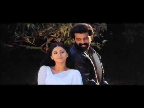 Tu Mere Paas Bhi Hai - Song Cover Image